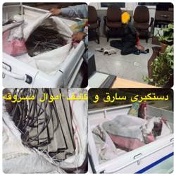 دستگیری سارق