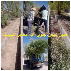 فضای سبز بلوار توسعه